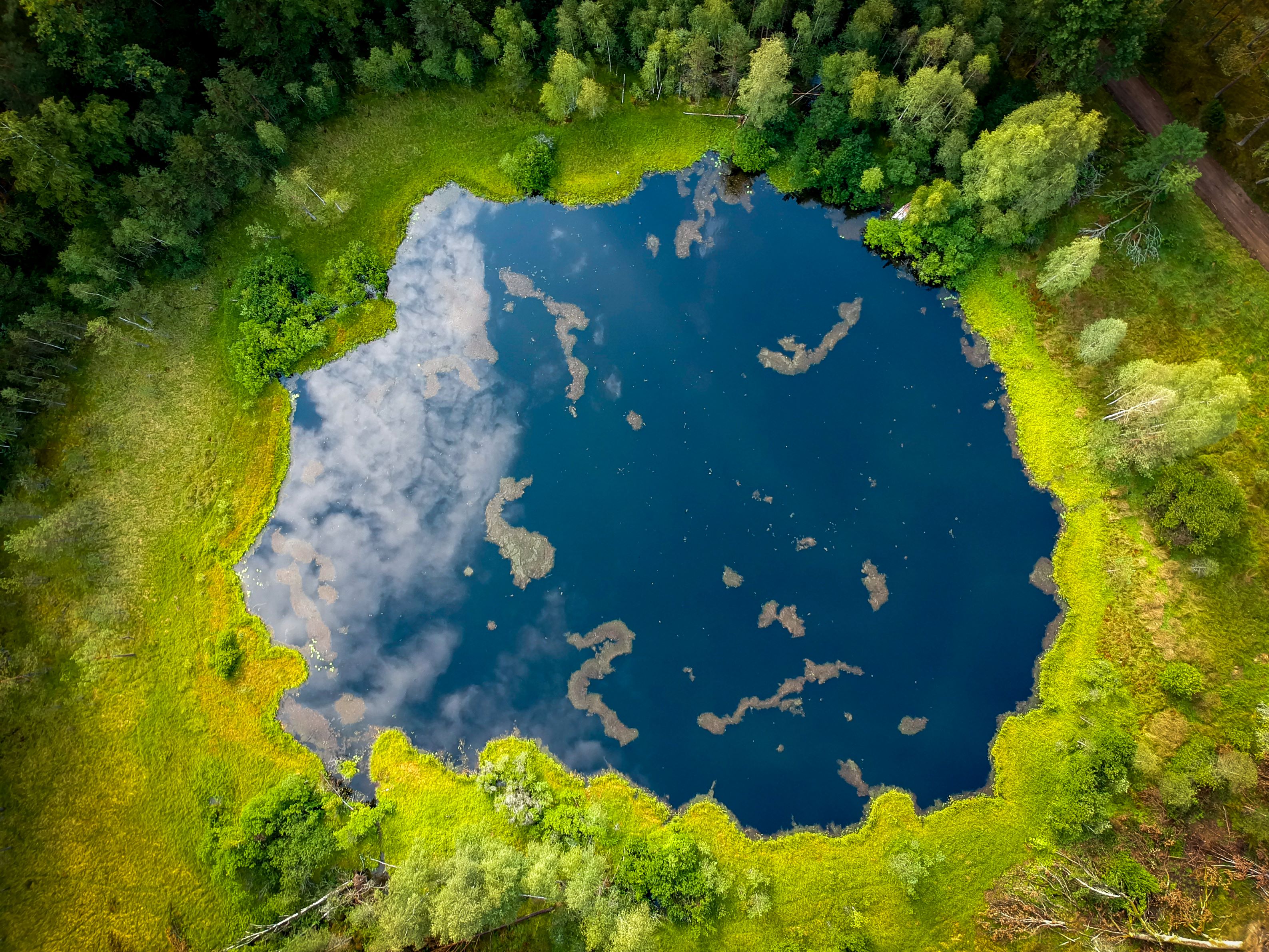 Zdjęcie przedstawia widok z lotu ptaka na zarastające jezioro otoczone lasem. Fot. Leszek Pałys