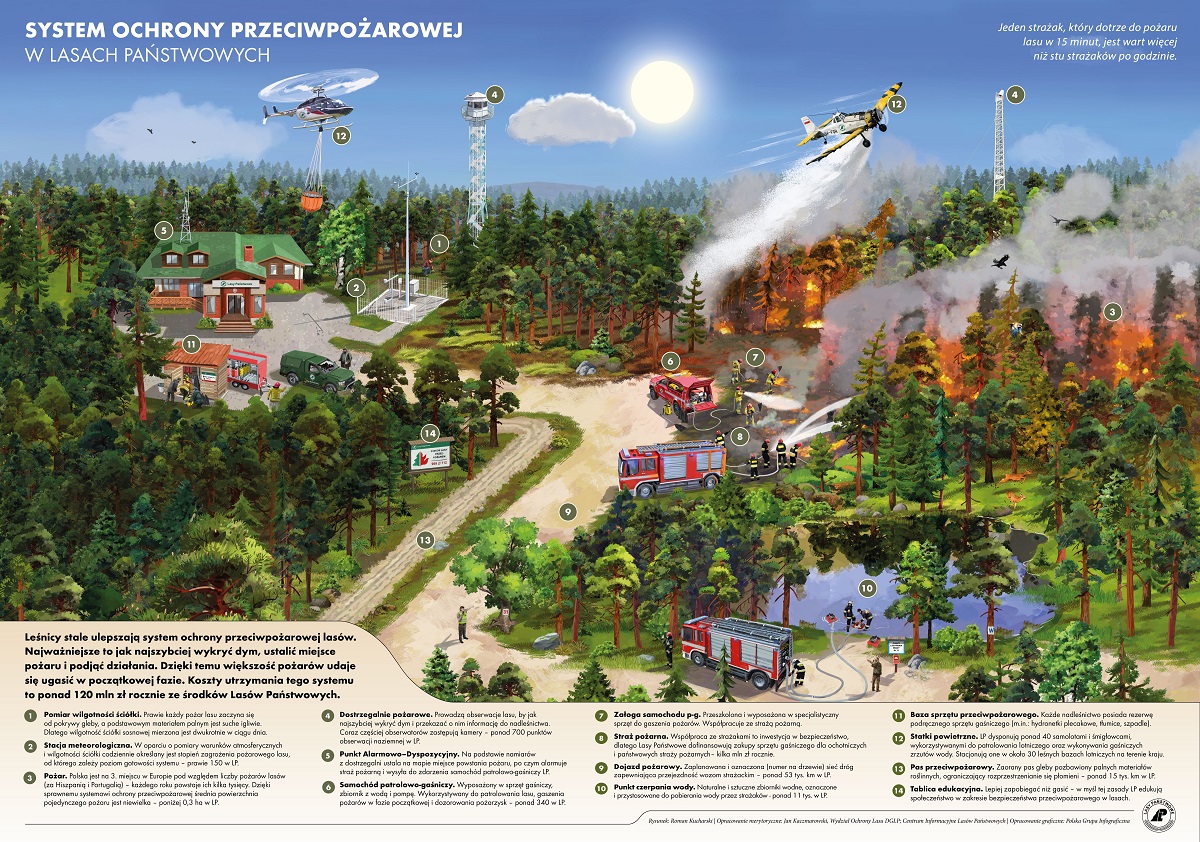 Grafika przedstawia system ochrony przeciwpożarowej w Lasach Państwowych