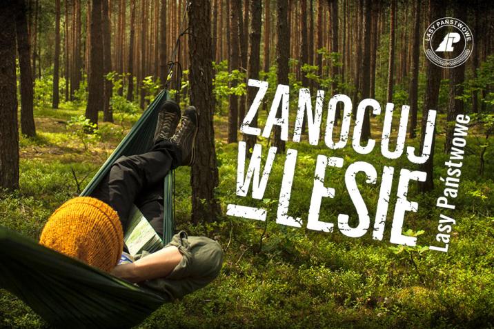 Plakat&#x20;Zanocuj&#x20;w&#x20;lesie