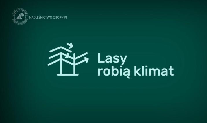 Napis&#x20;&#x22;Lasy&#x20;robią&#x20;klimat&#x22;&#x20;na&#x20;zielonym&#x20;tle&#x2e;