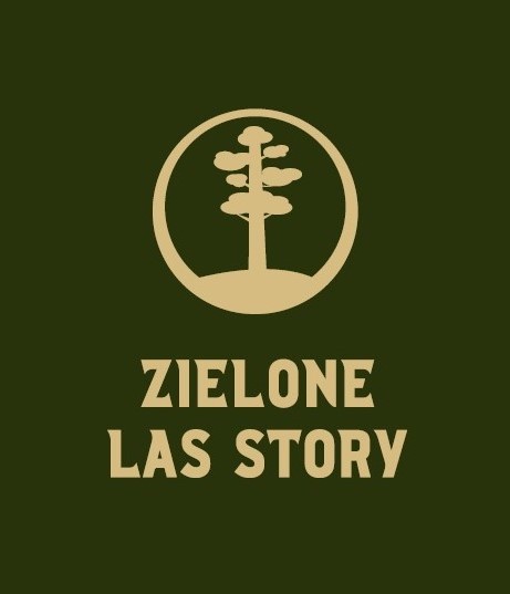 Zielone&#x20;las&#x20;story