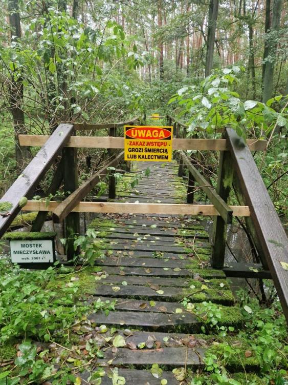 Drewniany mostek na Kanale Kończak